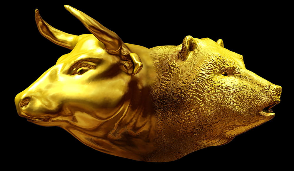 Bull and bear market.