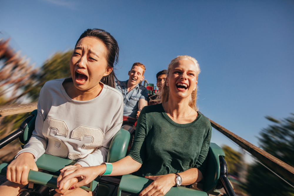 Riding the Market Roller-Coaster